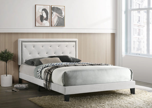 Luxurious white velvet platform bed in twin, full, queen, and king sizes. Tufted headboard, modern design, and no box spring needed.