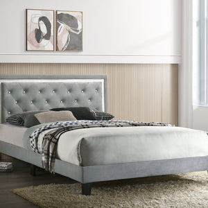 Passion Grey Velvet Platform Bed - Twin, Full, Queen, King